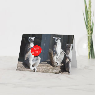 Happy Birthday Katta Karte