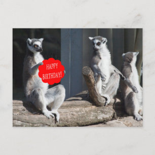 Happy Birthday Katta Postkarte