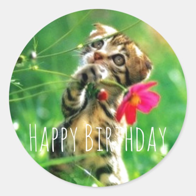 Happy Birthday Kitten Circle Stickers (Vorderseite)
