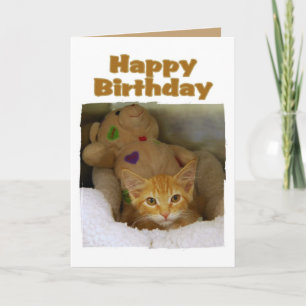 Happy Birthday Kitten Karte