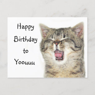 Happy Birthday Kitten Postkarte