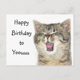 Happy Birthday Kitten Postkarte