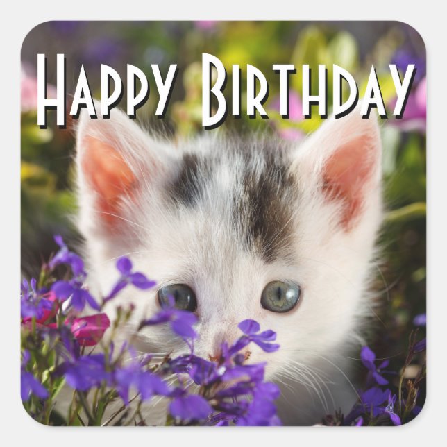 Happy Birthday Kitten Quadratischer Aufkleber (Vorderseite)