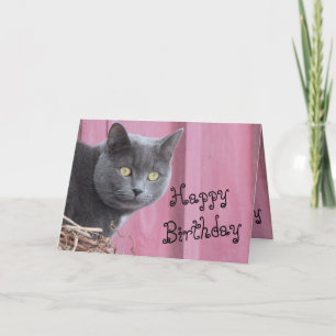 Happy Birthday Kitty Cat Card Karte