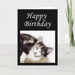 Happy Birthday Kitty Karte