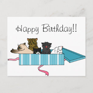 Happy Birthday Kitty Postcard Postkarte