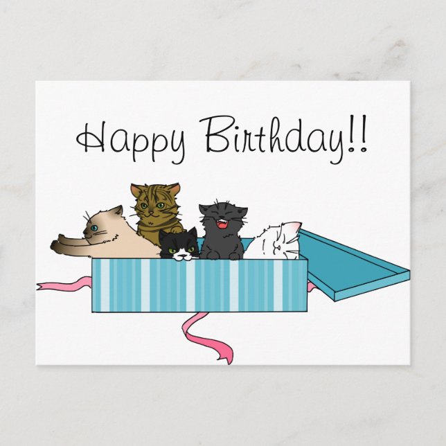 Happy Birthday Kitty Postcard Postkarte (Vorderseite)