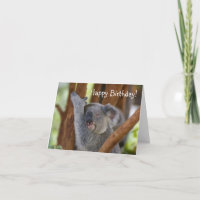 Happy Birthday Koala Bear