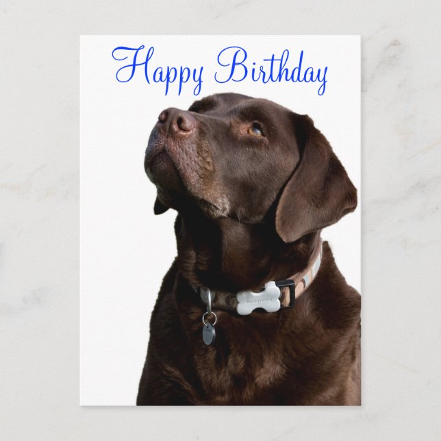 Happy Birthday Labrador Retriever Dog Post Card Postkarte (Vorderseite)