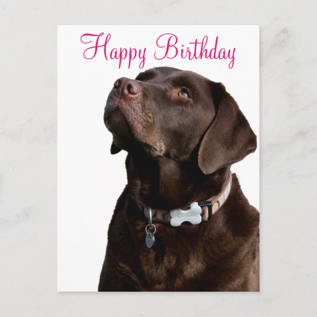 Happy Birthday Labrador Retriever Dog Post Card Postkarte (Vorderseite)