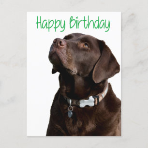 Happy Birthday Labrador Retriever Dog Post Card Postkarte