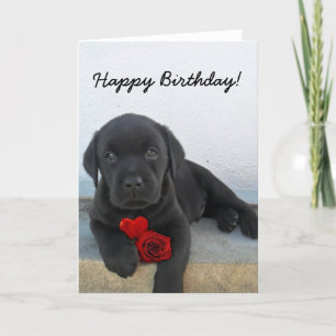 Happy Birthday Labrador Retriever greeting card Karte