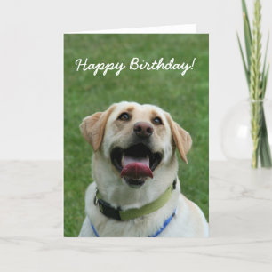 Happy Birthday Labrador Retriever greeting card Karte