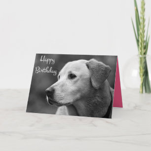 Happy Birthday Labrador Retriever Puppy Card Karte