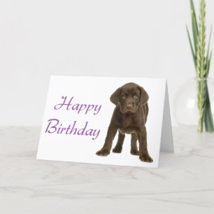 Happy Birthday Labrador Retriever Puppy Dodge Card Karte