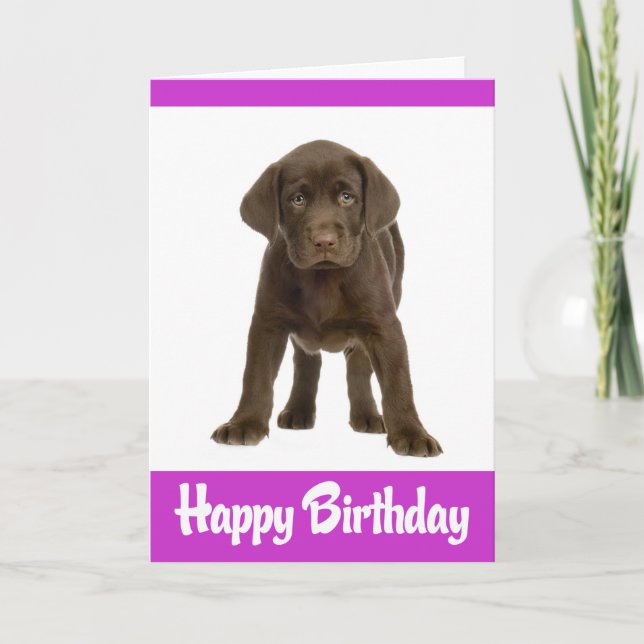 Happy Birthday Labrador Retriever Puppy Dodge Card Karte (Vorderseite)
