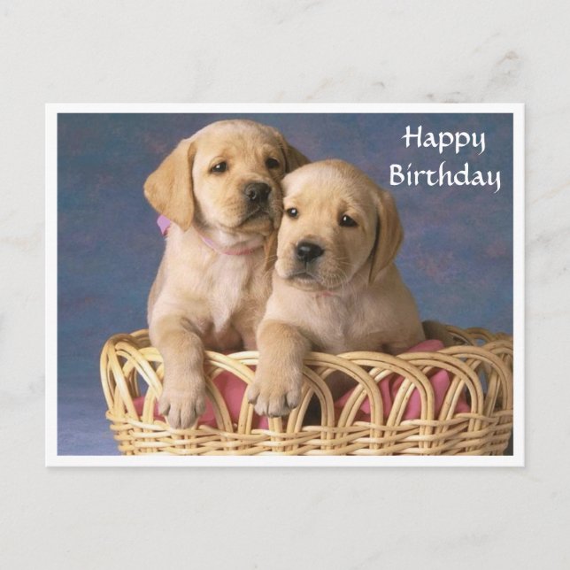 Happy Birthday Labrador Retriever Puppy Post Card Postkarte (Vorderseite)