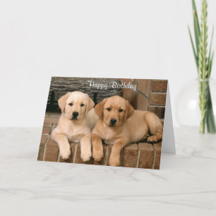Happy Birthday Labrador Retriever Welpen Card Karte