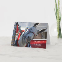 Happy Birthday Lächeln Mule