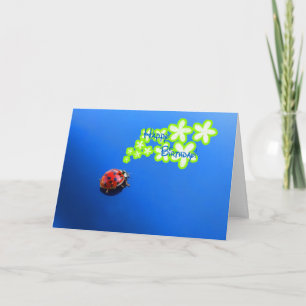 Happy Birthday Ladybug Card Karte