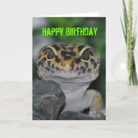Happy Birthday Leopard Gecko