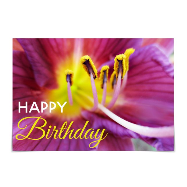 "Happy Birthday" - Lila und gelbe Taglilie Karte (Happy Birthday! This card features a purple and yellow lily.)
