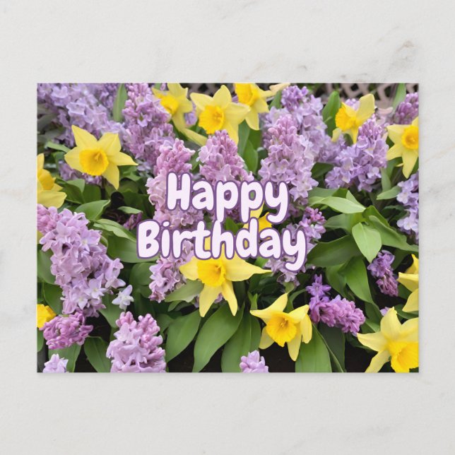 Happy Birthday Lilac Blume und gelbe Affodien Postkarte (Vorderseite)