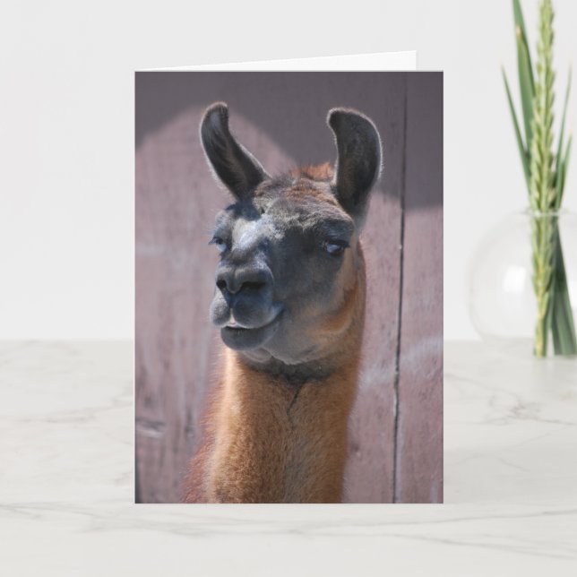 Happy Birthday Llama Karte (Vorderseite)