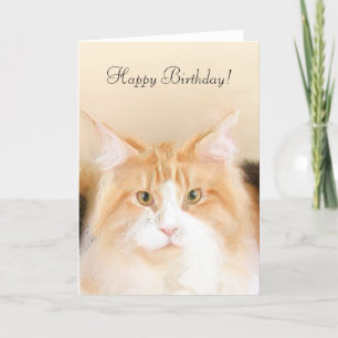 Happy Birthday Main Coon Cat Karte