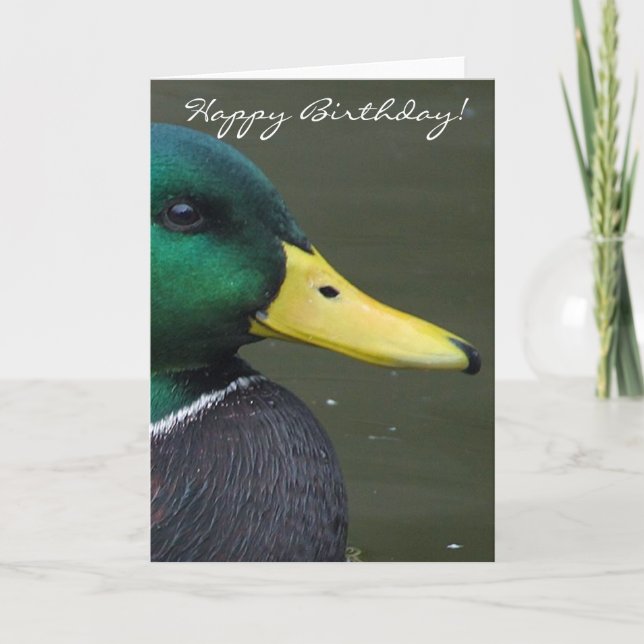 Happy Birthday Mallard Duck Karte (Vorderseite)
