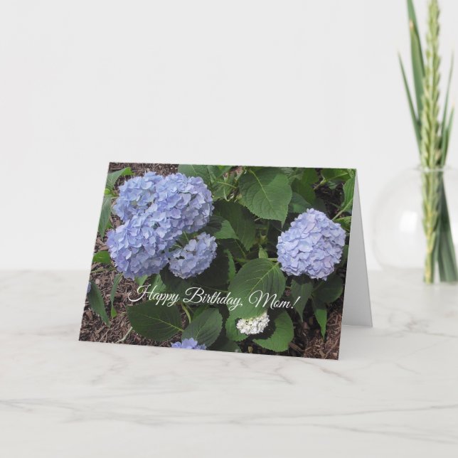 Happy Birthday Mama, Hübscher Lila Hibiskus Karte (Vorderseite)