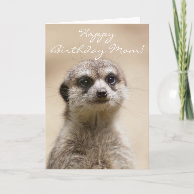 Happy Birthday Mama Meerkat Card Karte (Vorderseite)