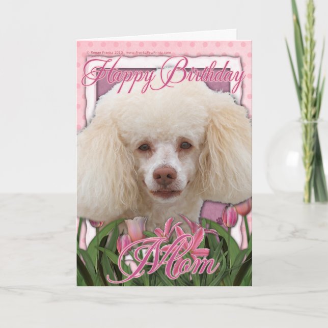 Happy Birthday Mama - Poodle Karte (Vorderseite)