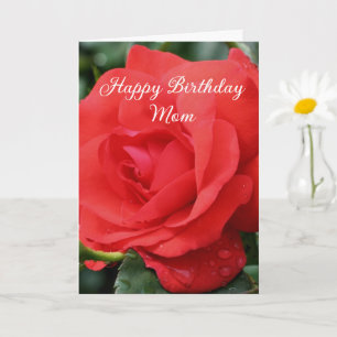 Happy Birthday Mama Rote Rose Blume Karte