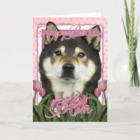 Happy Birthday Mama - Shiba Inus - Yasha