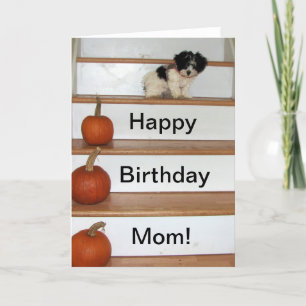 Happy Birthday Mama - Welpen und Pumas Havanese Karte