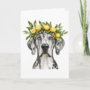 Happy Birthday Merle Great Dane Dog Lemon Crown Karte