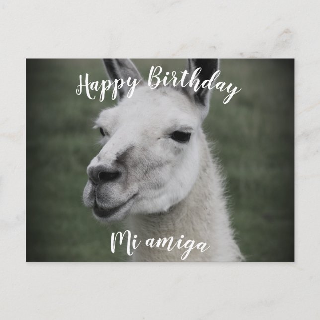 Happy Birthday "Mi Amiga" Lama Postkarte (Vorderseite)