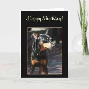 Happy Birthday Miniature Pinscher Grußkarte Karte