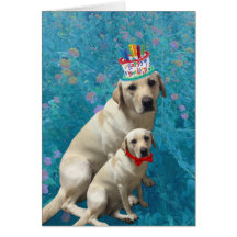 Happy Birthday mit Labrador Hunde, Adorable