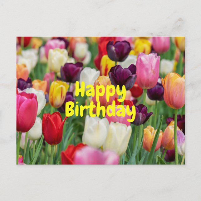 Happy Birthday Mixed Color Tulip Blume Postkarte (Vorderseite)