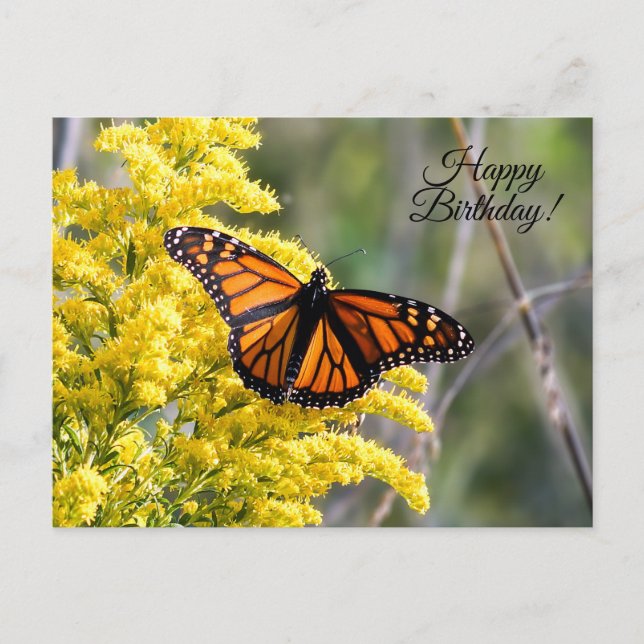 Happy Birthday Monarch Butterfly Postcard Postkarte (Vorderseite)