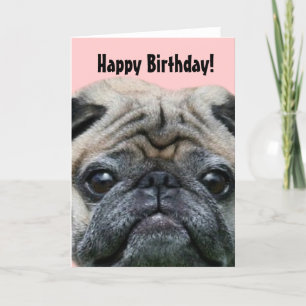 Happy Birthday Mops Grußkarte Karte