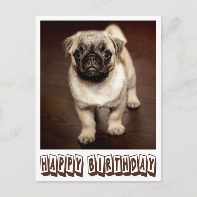 Happy Birthday Mops Welpe Hund braune Postkarte (Vorderseite)