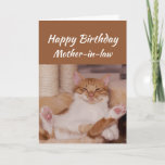 Happy Birthday Mother-in-law Celebrate Funny Cat Karte<br><div class="desc">Happy Birthday Mother-in-law Celebrate it way you want with a cute relaxing Cat Funny animal birthday greeting to customize</div>