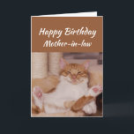 Happy Birthday Mother-in-law Celebrate Funny Cat Karte<br><div class="desc">Happy Birthday Mother-in-law Celebrate it way you want with a cute relaxing Cat Funny animal birthday greeting to customize</div>