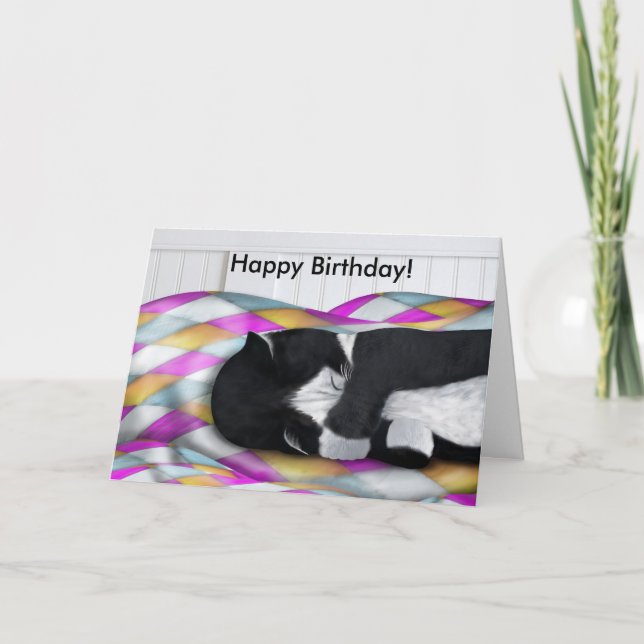 Happy Birthday Napping Tuxedo Cat Card Card Karte (Vorderseite)