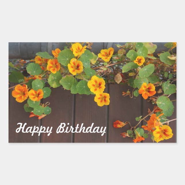 Happy Birthday Nasturtium Stickers (Vorderseite)
