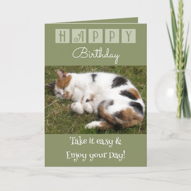 Happy Birthday nehmen Sie es leicht Katz Foto grün Karte (Vorderseite)
