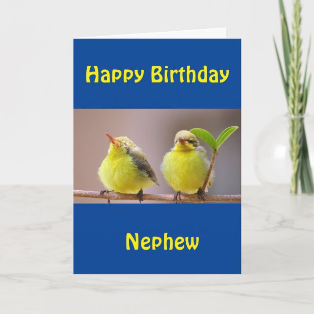 HAPPY BIRTHDAY "NEPHEW" CARD KARTE (Vorderseite)